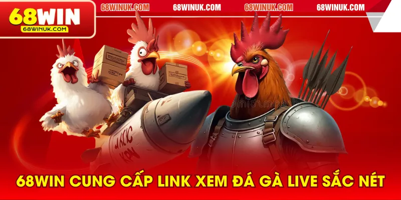 68WIN cung cấp link xem đá gà live sắc nét