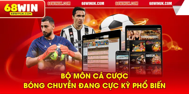 Bộ môn cá cược bóng chuyền đang cực kỳ phổ biến