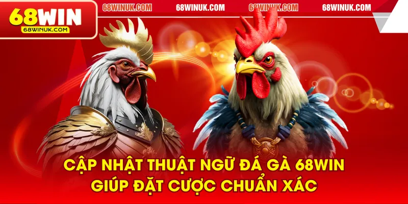 Cập nhật thuật ngữ đá gà 68WIN giúp đặt cược chuẩn xác