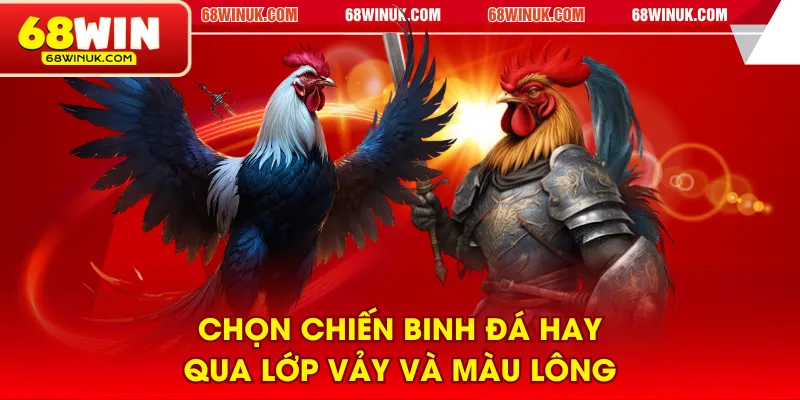 Chọn chiến binh đá hay qua lớp vảy và màu lông