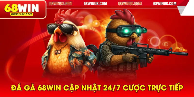 Đá gà 68WIN cập nhật 24/7 cược trực tiếp