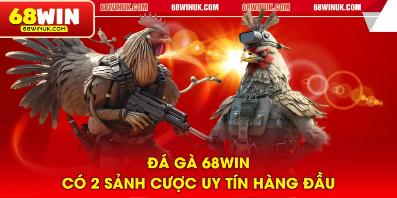 Đá gà 68WIN có 2 sảnh cược uy tín hàng đầu
