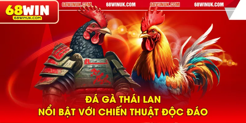 Đá gà Thái Lan nổi bật với chiến thuật độc đáo