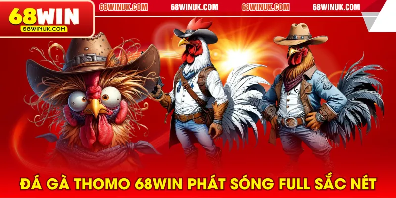Đá gà Thomo 68WIN phát sóng full sắc nét