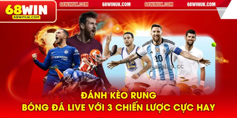 Đánh kèo rung bóng đá live với 3 chiến lược cực hay