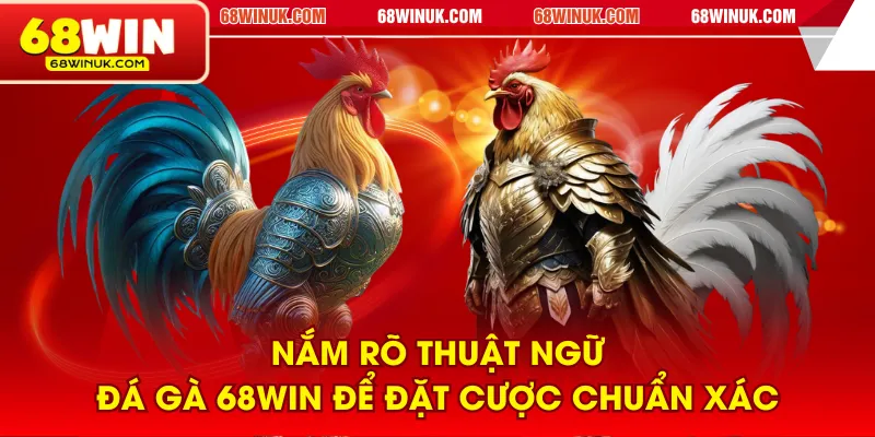 Nắm rõ thuật ngữ đá gà 68WIN để đặt cược chuẩn xác