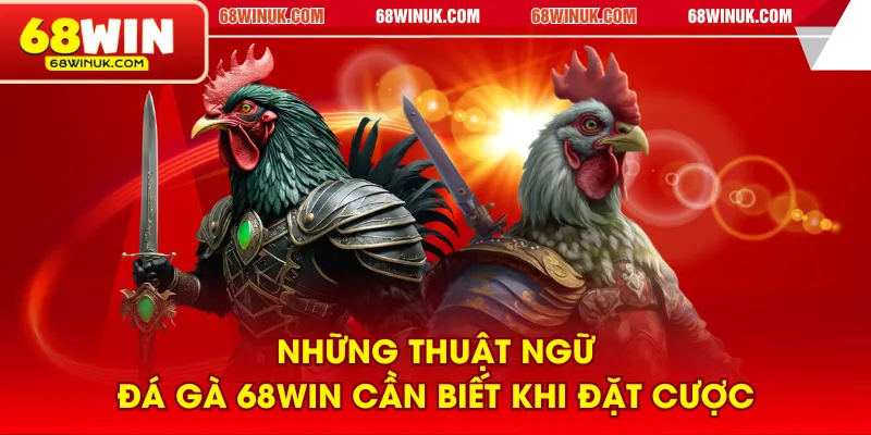 Những thuật ngữ đá gà 68WIN cần biết khi đặt cược