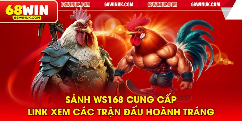 Sảnh WS168 cung cấp link xem các trận đấu hoành tráng