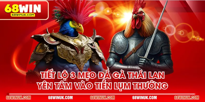 mẹo đá gà Thái Lan